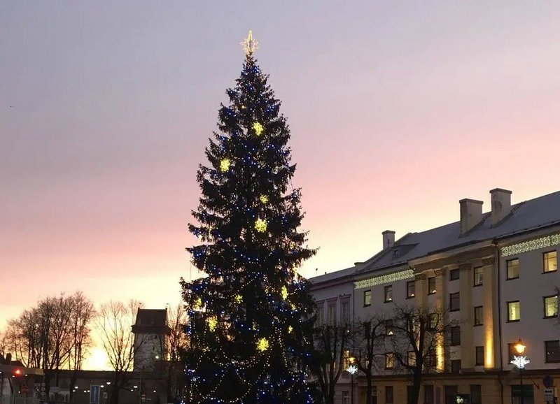 Narva linn Нарва нашла исполнителя для установки двух новогодних елей
