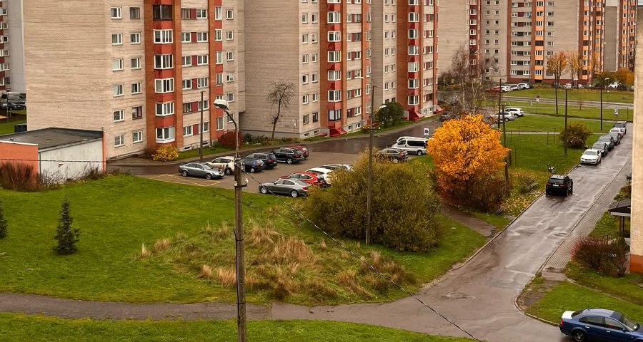 Foto: Facebook Sotsiaalmeedias küsiti niitmata linnakrundi kohta